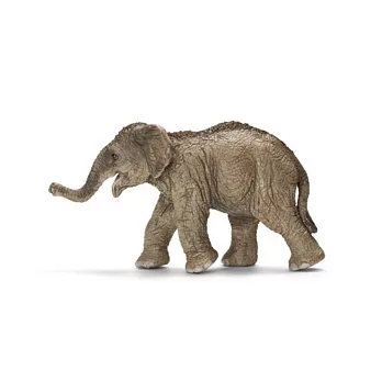 Schleich 史萊奇動物模型-亞洲象寶寶