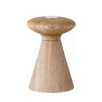 Forest 蘑菇森林研磨罐鹽罐