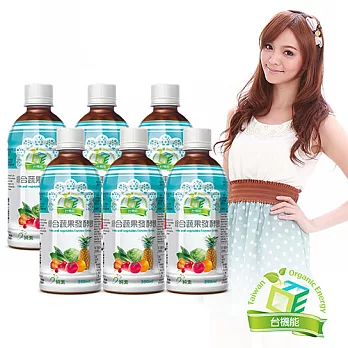 台機能 綜合蔬果發酵飲(6瓶入)