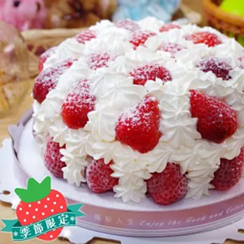 Fun Cake 滿天星草莓蛋糕8吋8吋