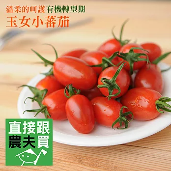 直接跟農夫買-溫柔的呵護 玉女小蕃茄（每盒600g x 4盒）