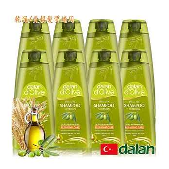 【土耳其dalan】橄欖油小麥蛋白修護洗髮露 X 8 特惠組 (乾燥/受損髮質)
