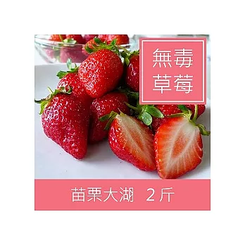 ★產地直送★苗栗大湖【無毒草莓】2斤