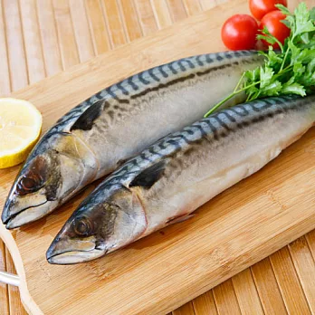 【富琳嚴選】安心好魚系列　正宗頂級挪威　薄鹽鯖魚(10尾入)