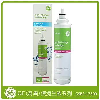 GE(奇異)家用精緻型淨水器濾芯(GSBF-1750R)