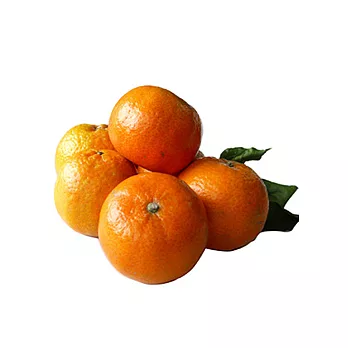 ★新竹峨嵋【無籽桶柑】(25A禮盒)