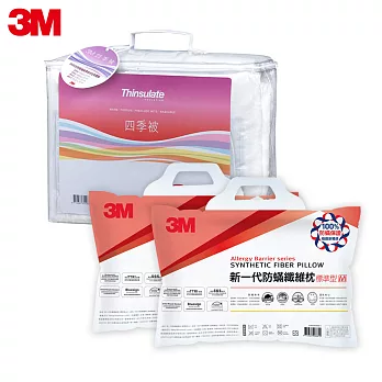 3M Thinsulate可水洗四季被Z250 雙人6x7+限量枕心2入 超值組合