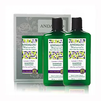Andalou薰衣草B群強韌洗髮精340mlx2(禮盒+提袋)