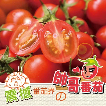 《饗果樂》茄紅素爆表極品鹽地小番茄 (5台斤/箱,共兩箱)