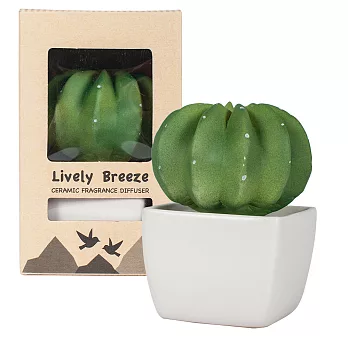 【Thai Scent 泰香】Dotti球型仙人掌擴香精禮盒百合梔子花