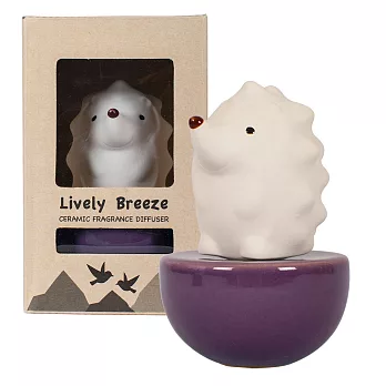 【Thai Scent 泰香】Spiky刺蝟擴香精禮盒橙香柑橘