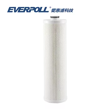 【愛惠浦科技 EVERPOLL】全戶濾淨專用濾芯/濾心 (FH-050)