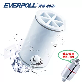 【愛惠浦科技 EVERPOLL】 沐浴潔膚器專用濾芯/濾心 (MKC)