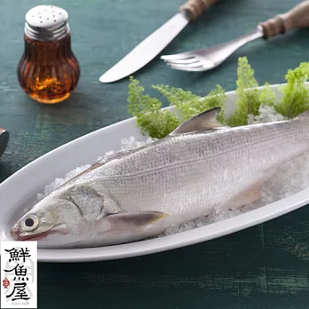 【鮮魚屋】現流急凍肥美午仔魚*8條