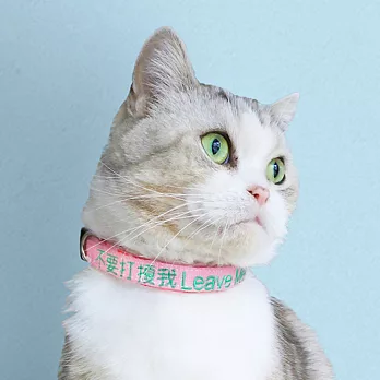 Small talk 狗有話要說 快扣項圈+1句標語(乖狗狗討摸摸) XS粉紅迷彩