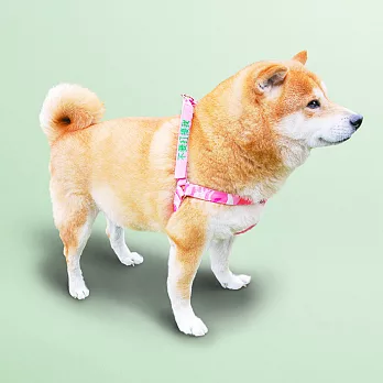 Small talk 狗有話要說 胸背帶+2句標語 (我很醜但很溫柔)M粉紅迷彩