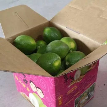 【棗樂子】檸檬(7斤/盒)2盒