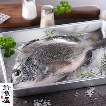 【鮮魚屋】現撈急凍黑格魚400g*5條