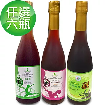 【醋勁魅力】梅棗、桑椹橄欖、桑椹紅麴醋 550天陳釀 任選6瓶(500ml/瓶)