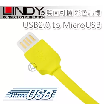 LINDY 林帝 USB2.0 to MicroUSB 雙面可插 彩色扁線 1m30906