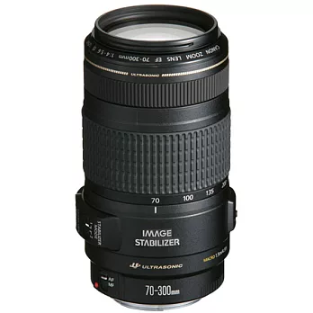 (公司貨)Canon EF 70-300mm F4-5.6 IS USM 望遠變焦鏡-送TOKO濾鏡(58)+大吹球清潔組+LP1專業拭鏡筆