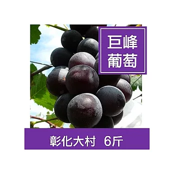 ★預購★彰化大村【巨峰葡萄】6斤