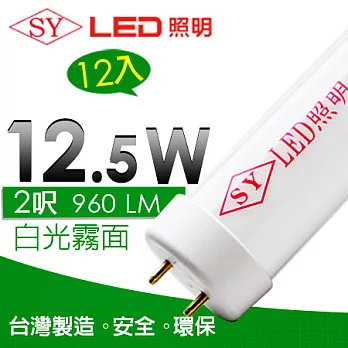 【SY聲億】T8 LED日光燈管/二呎12.5W白光霧面 12入白光