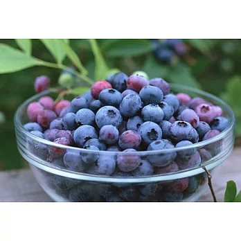 【UH】優果園 - 美國進口JUMBO藍莓12盒(170g/盒)