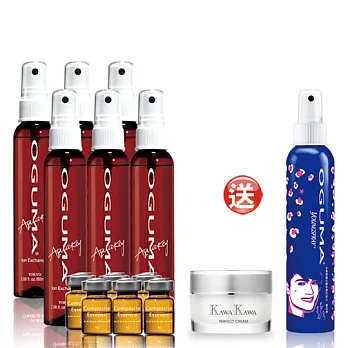 OGUMA水美媒1．7．3DaySpa離子導入精華(水美媒DaySpaX6組加送限量瓶160ml X1瓶+KAWA乳霜60ml X1)