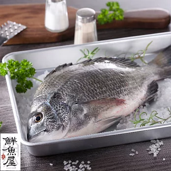 【鮮魚屋】現撈急凍台灣黑格魚300g*1條