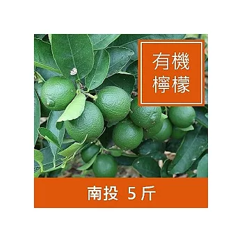 【一籃子】麵包大師指定使用的南投【有機無籽檸檬】