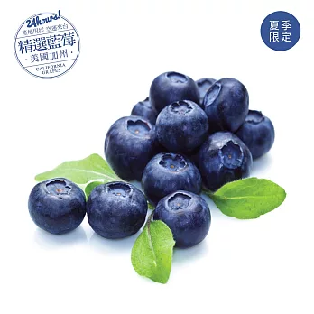 預購7日到貨【良品嚴選】加州空運藍莓2盒(120g/盒 )