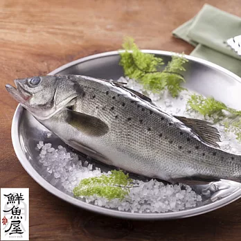 【鮮魚屋】現撈急凍台灣海鱸魚300g*1條