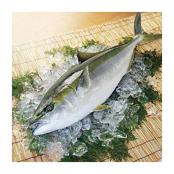 【好神】日式頂級料理御用-鮮凍青干魚3尾組(900g-1000g±100g/尾)