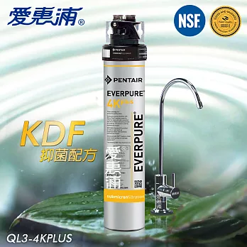 【愛惠浦EVERPURE】家用型KDF強效抑菌淨水器(QL3-4K plus)