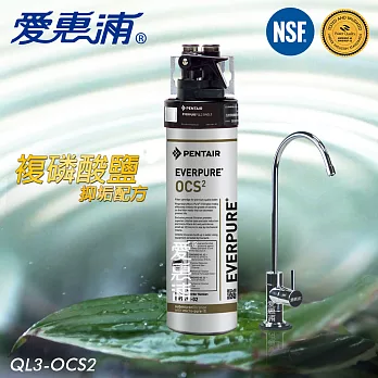 【愛惠浦EVERPURE】家用型精緻抑垢淨水器(QL3-OCS2)