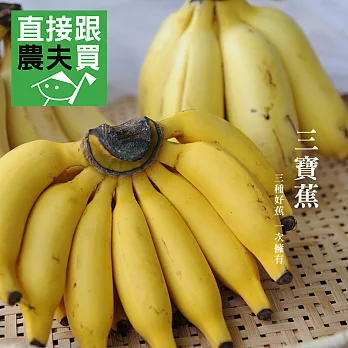直接跟農夫買- 三寶蕉（無農藥栽培-3.6公斤）