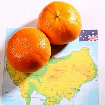 《阿洲水果》《澳洲》進口蜜柑(5斤)