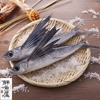 【鮮魚屋】現撈急凍台灣野生飛魚*2條(蝴蝶切)