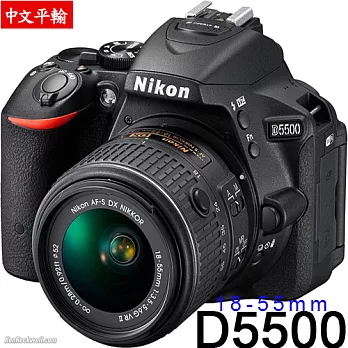 Nikon D5500+28-300mm G VR(中文平輸)-送SD64G+專用鋰電池+單眼包+中型腳架+強力大吹球+洗毛刷+拭鏡筆+硬保護貼無D5500