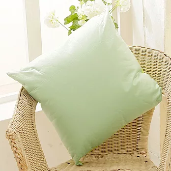 床之戀 雙面防潑水舒適方型抱枕48x48cm-嫩芽綠