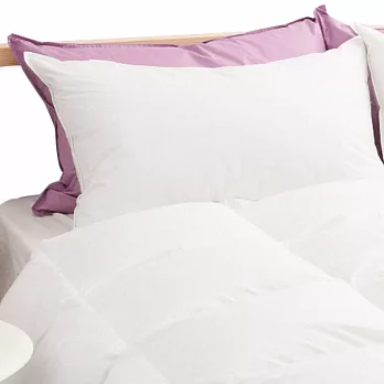 【遊遍天下】MIT台灣製舒眠羽絨枕(二入)牛奶白