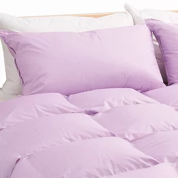 【遊遍天下】MIT台灣製舒眠羽絨枕(二入)夢幻紫