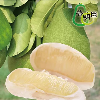 預購《普明園》AA級台南麻豆40年老欉文旦10台斤(約10-13顆)