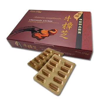唯朵生活-頂級御品國寶牛樟芝 (100顆/盒)