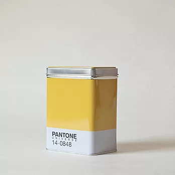 【SELETTI】PANTONE 小物收納盒14-0848