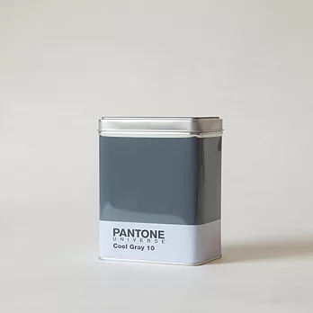 【SELETTI】PANTONE 小物收納盒CoolGray10