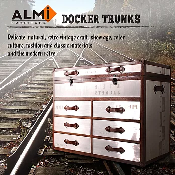 【ALMI】DOCKER TRUNKS- DOT COMMODE 6T 六抽掀蓋收納箱