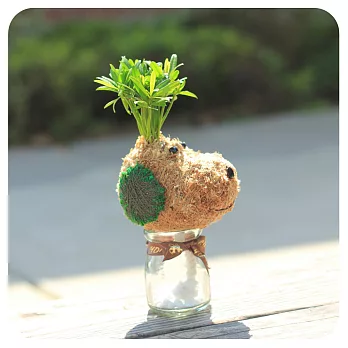 【迎光】造型苔球同樂會-史奴比