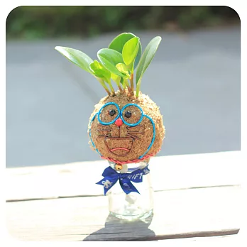 【迎光】造型苔球同樂會-叮噹